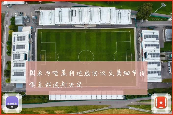 国米与哈莱利达成协议交易细节待俱乐部谈判决定