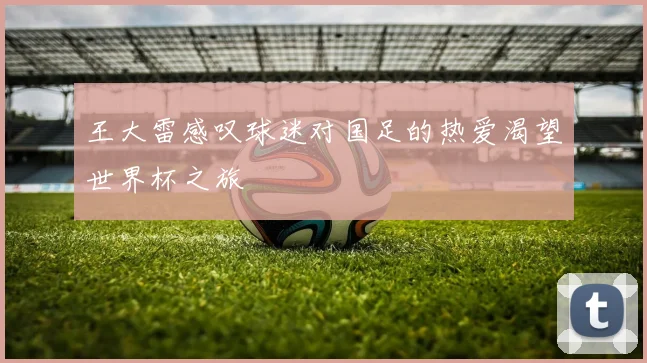 王大雷感叹球迷对国足的热爱渴望世界杯之旅